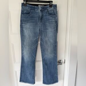 Democracy Indigo Denim Jeans